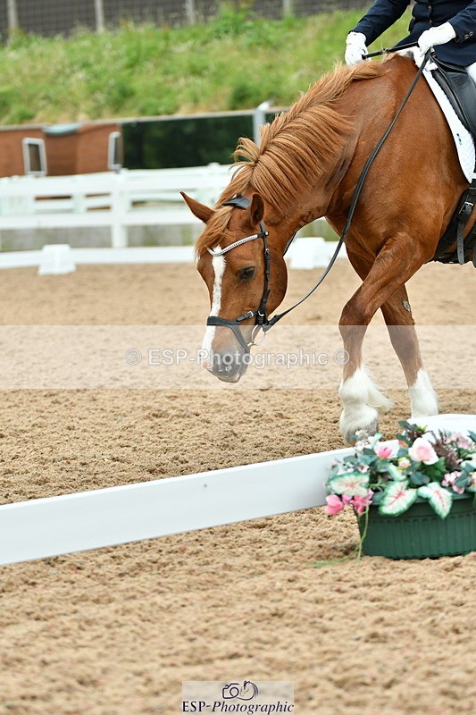 230630A-115456-01730 - Cls 7 Elementary 45