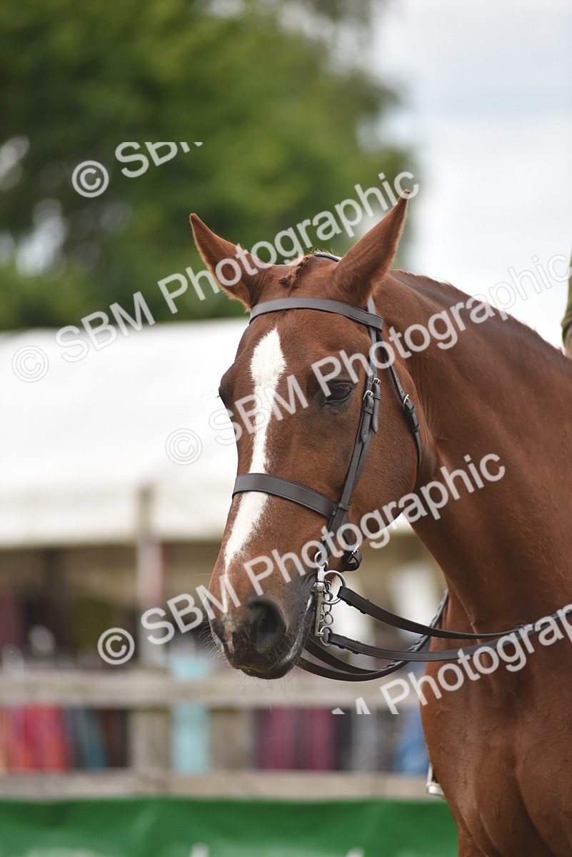 SBM_18204 - Class 122-123 - LIHS BHSA Raising Star Style and Performance Series
