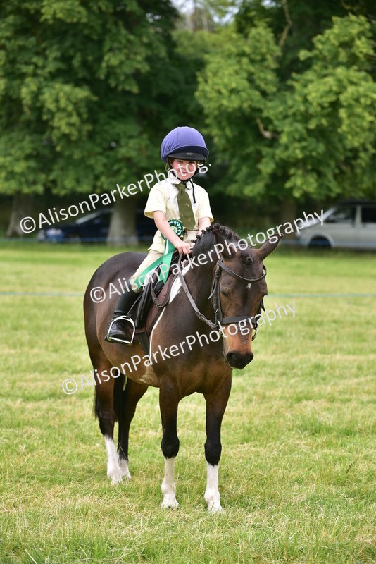 20260614-2714 - Class 13 - Pony Club Pony