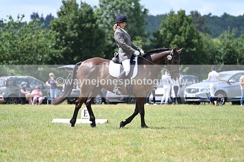 WJ7_4870 - Time 11:22 to 11:51