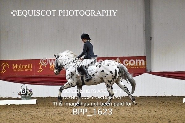 BPP_1623 - PC GRASSROOTS DRESSAGE