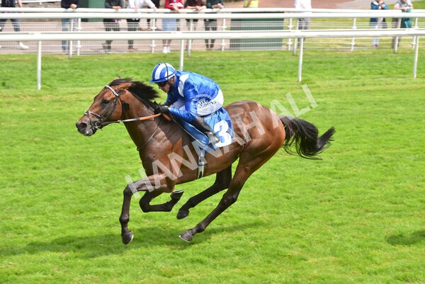 yr10072021r2-19 - Race 2: 2.20pm John Smith's Silver Cup Stakes