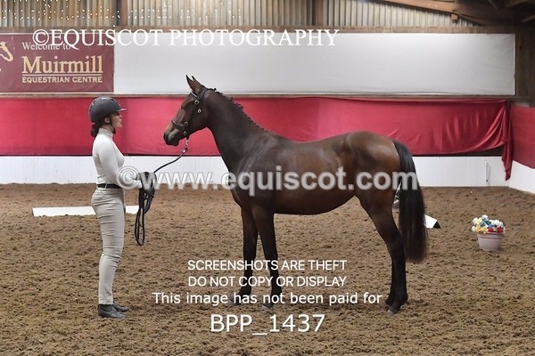 BPP_1437 - MORNING 9AM - 12PM