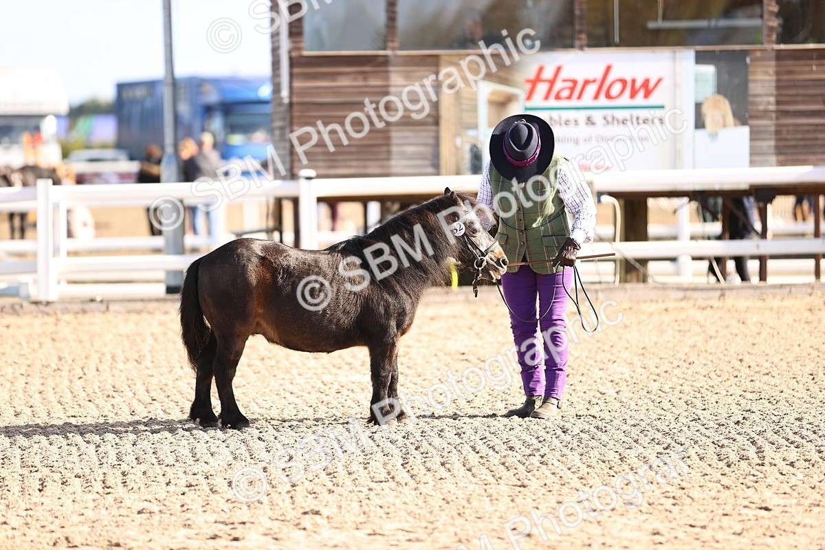 SBM_08513 - Class 402 - IH Veteran Pony