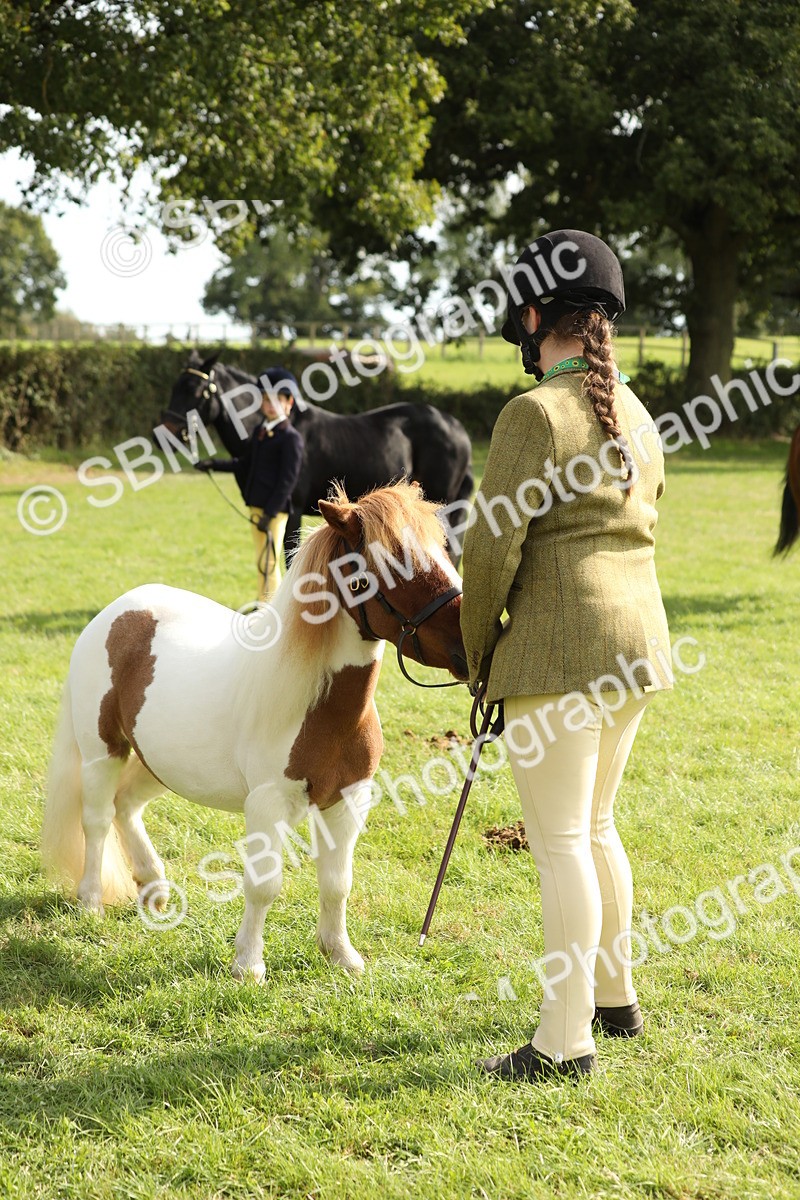 SBM_68592 - S40 - Junior Handler 9-12 Years