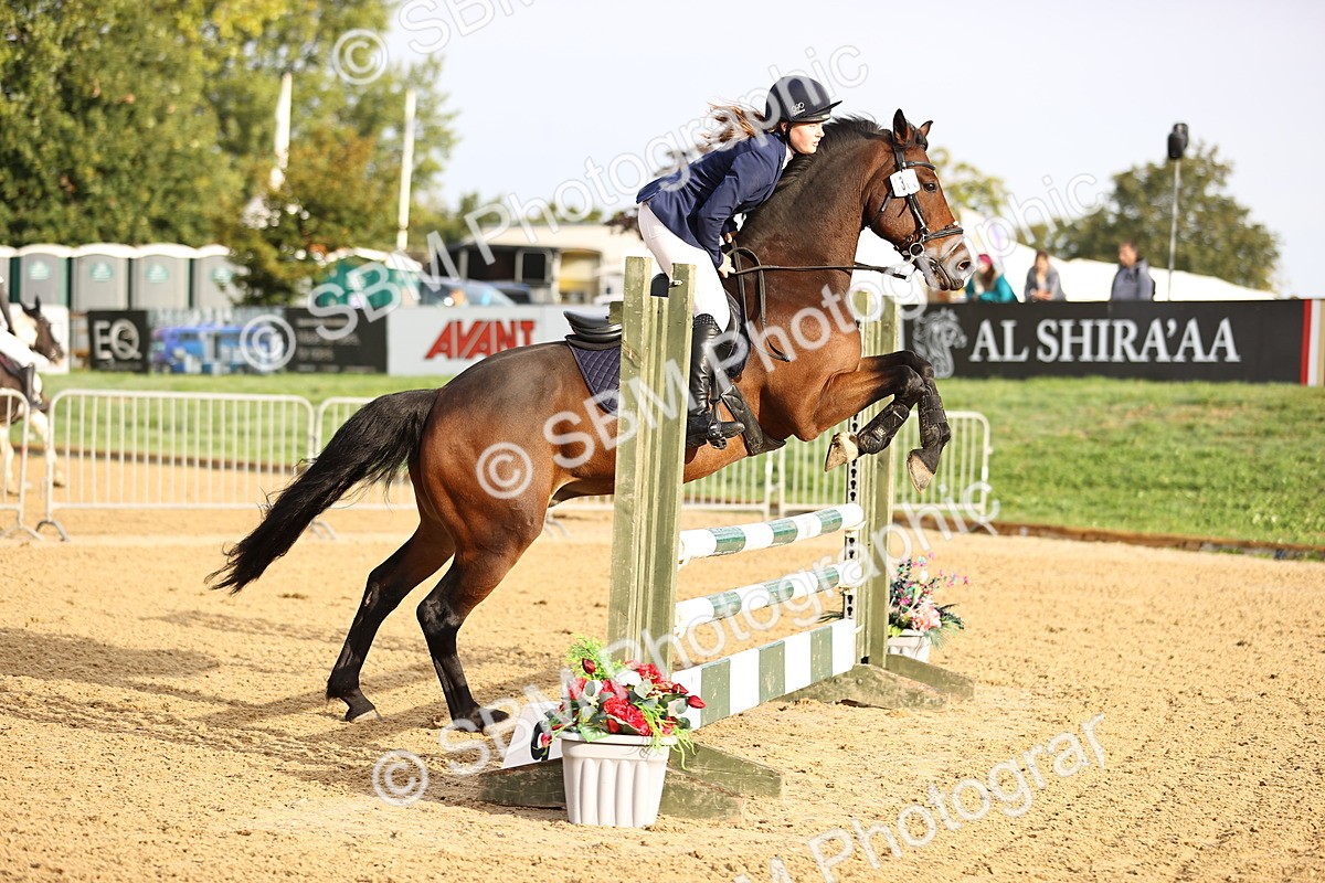 SBM_55235 - J62 - Clear Round 90cm