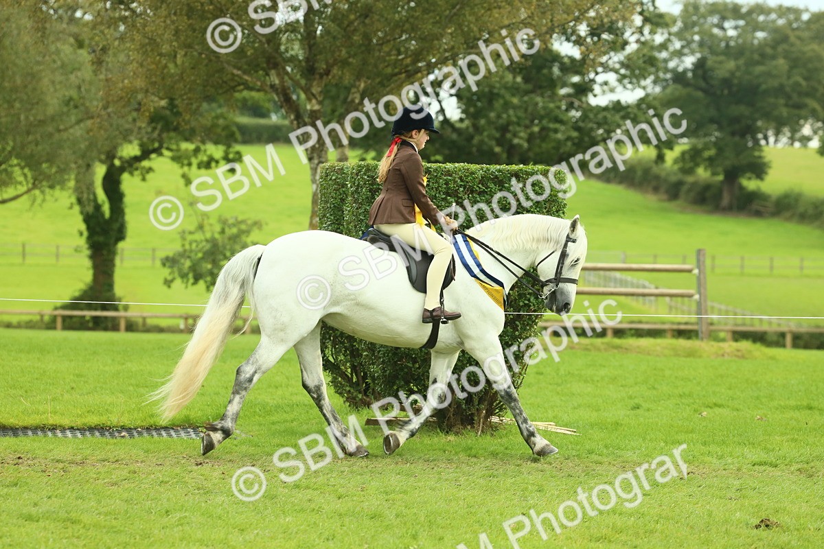 SBM_75127 - Ridden Pony Supreme Championship