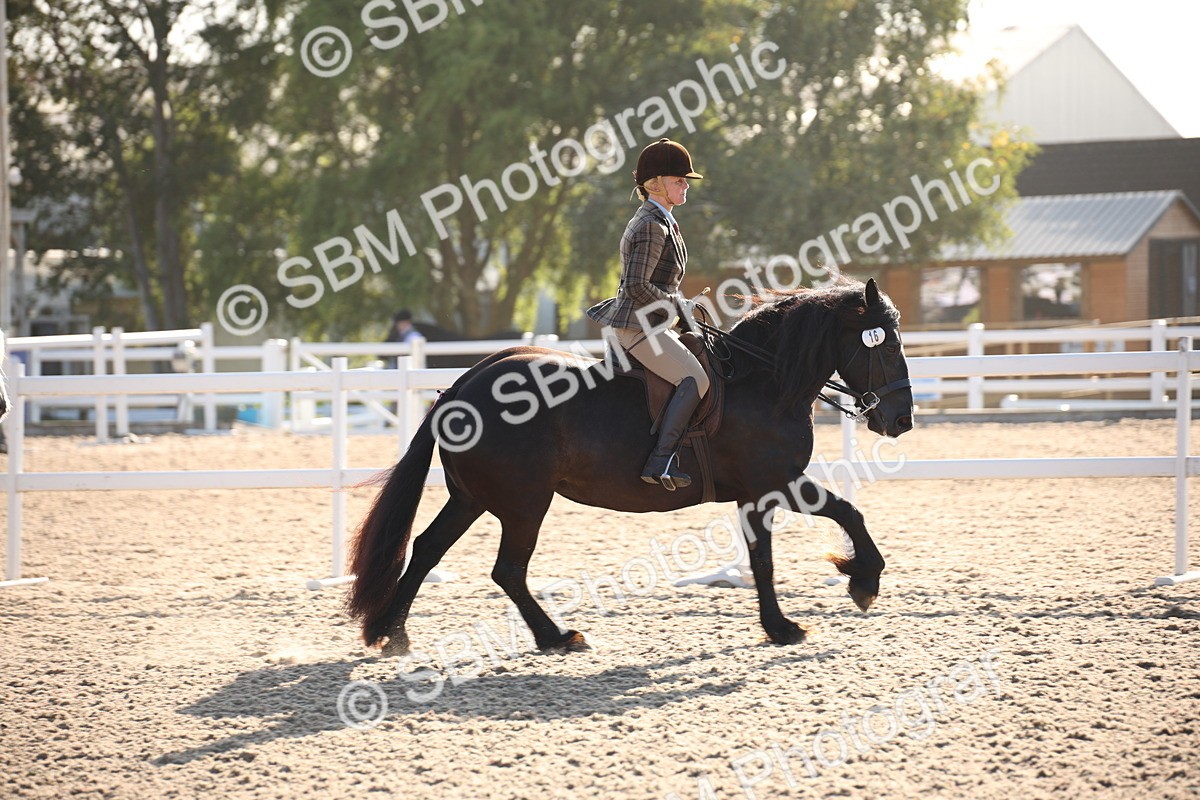 SBM_00635 - Class 14 Ridden M&M Wildcard