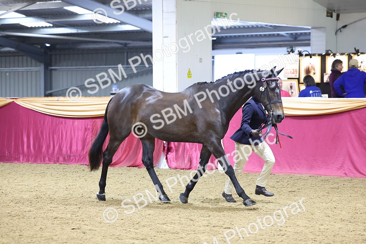 SBM_19605 - Class 901 - Supreme Final - IH Diamond