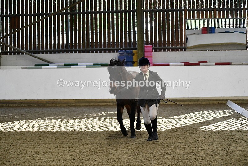 WJ5_3565 - Class 5 In Hand Veterans