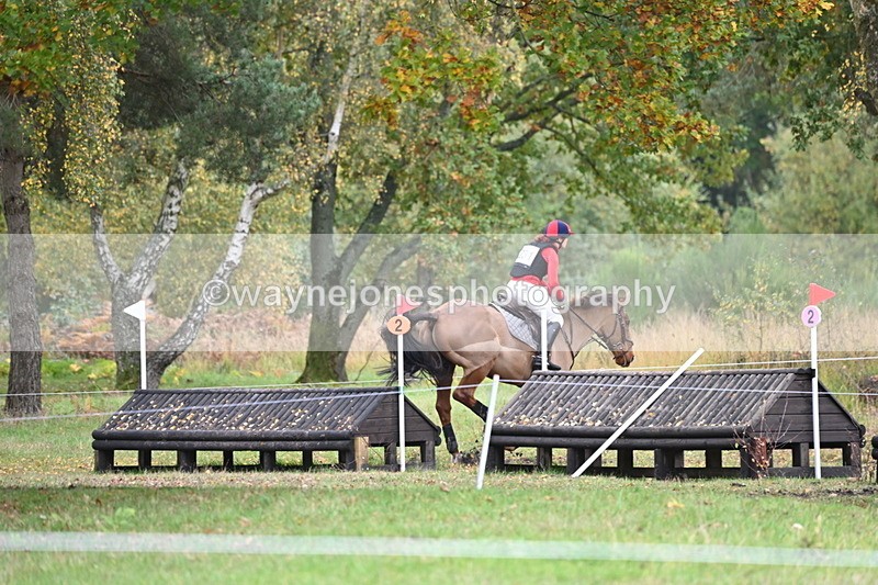 WJ6_3799 - 90cm Cam 1 Time 13:35 to 14:03