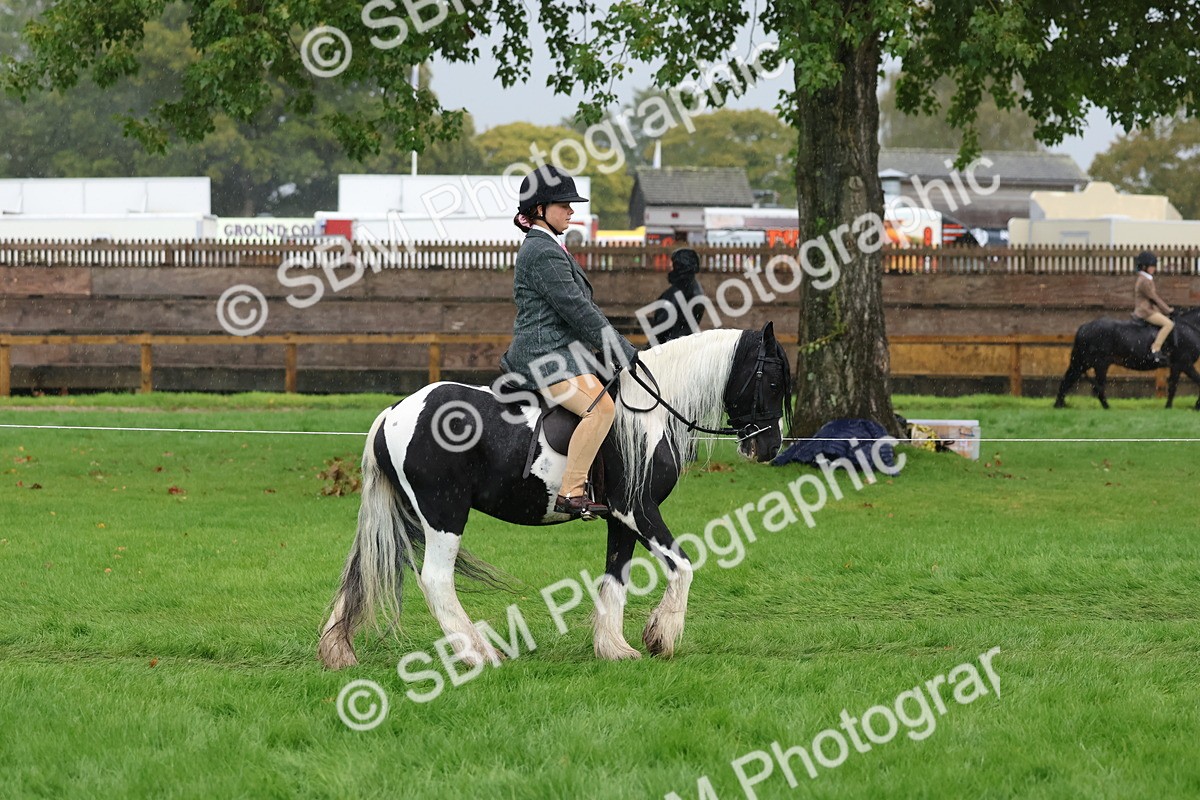SBM_36797 - S11 - Best Ridden Horse & Pony