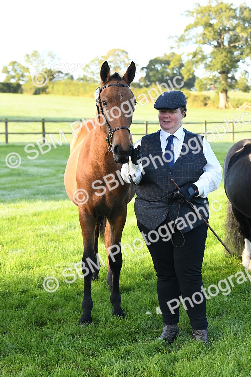 SBM_32669 - S15 - Condition & Turnout In Hand