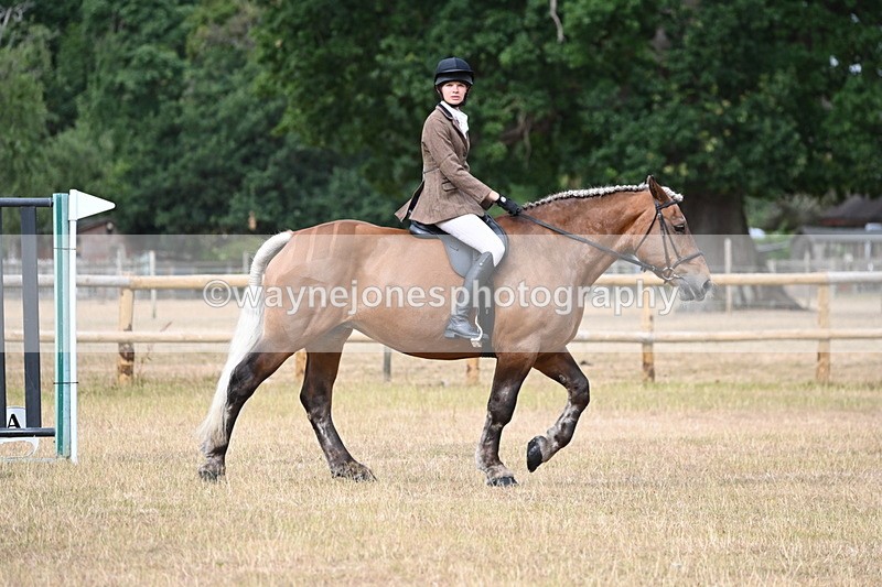 WJ6_7506 - Class 9 Tack and Turnout