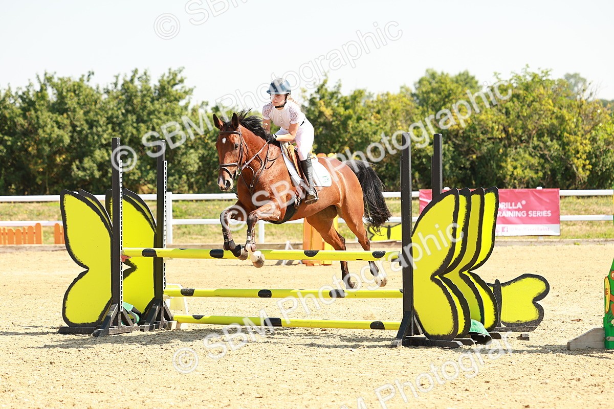 SBM_000260 - Class 2 - Senior British Novice - 90cm