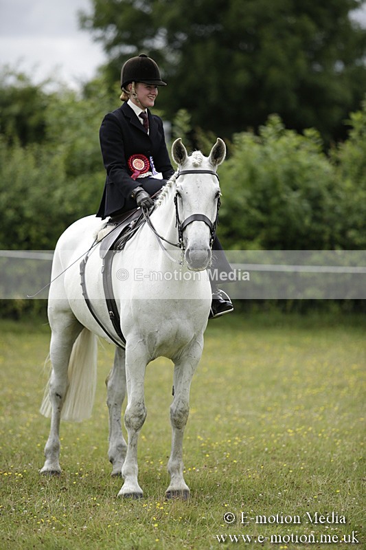 BVR160717-2013 - Side Saddle Classes 16/07/17