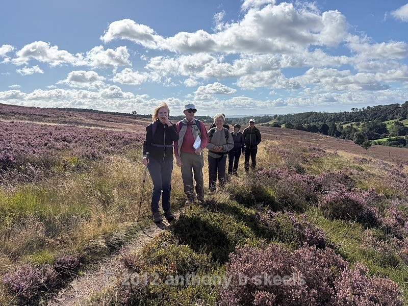 036 Heading across the NY Moors on Hutton Ridge - York Minster Walkers Collection 2026