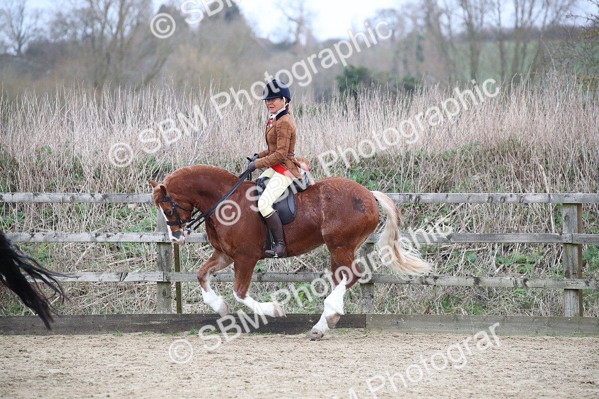 SBM_007248 - Class 10-13 - RIHS Small Large Breeds