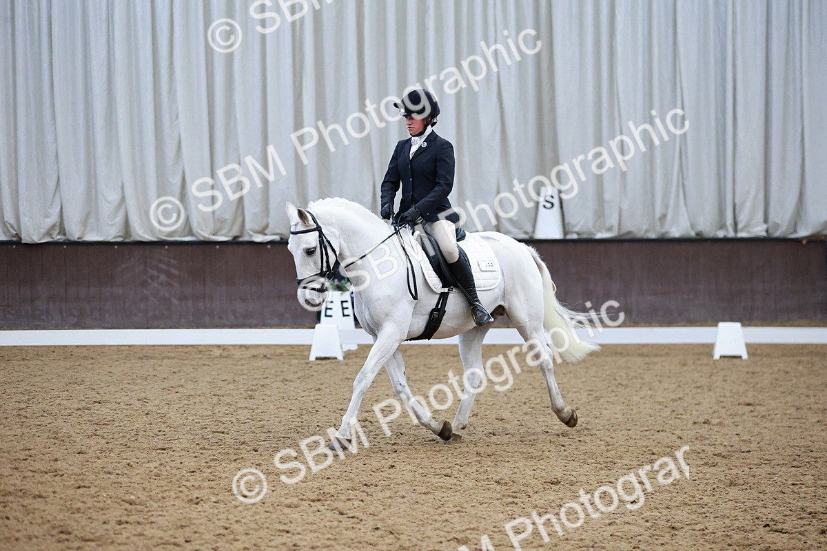 SBM_004514 - Ring 3 - International -  Working Hunter Classes 23-2-25