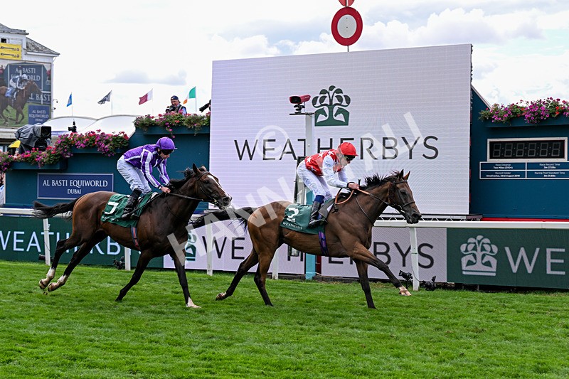 210826-Race 2-Al Nayyir-5424 - Race 2 14.25pm Weatherbys Lonsdale Cup Stakes