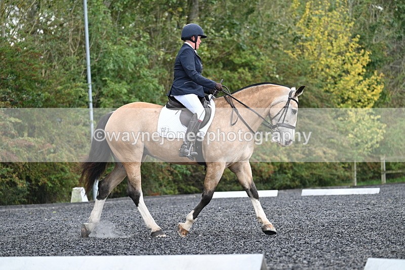 WJ7_4455 - Time 11:43 to 12:09