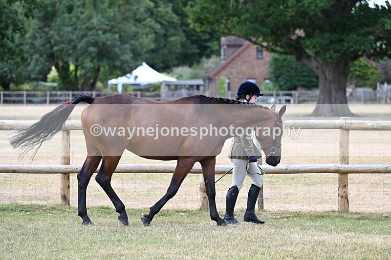 WJ7_1807 - Class 4a Prettiest Mare 14.2hh and over hand