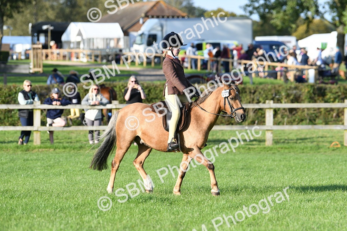 SBM_54093 - S23 - 1st Ridden Mountain & Moorland Pony