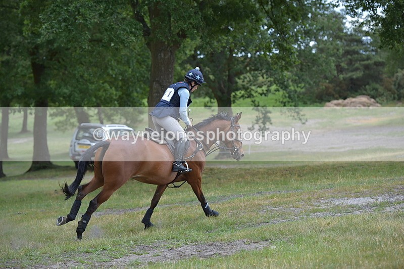 NGP_9351 - Time 12:54 to 1309