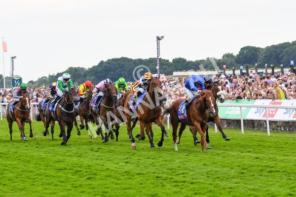 170623-Race 2-Wild Lion-0353 - Race 2 2.35pm Sky Bet Handicap