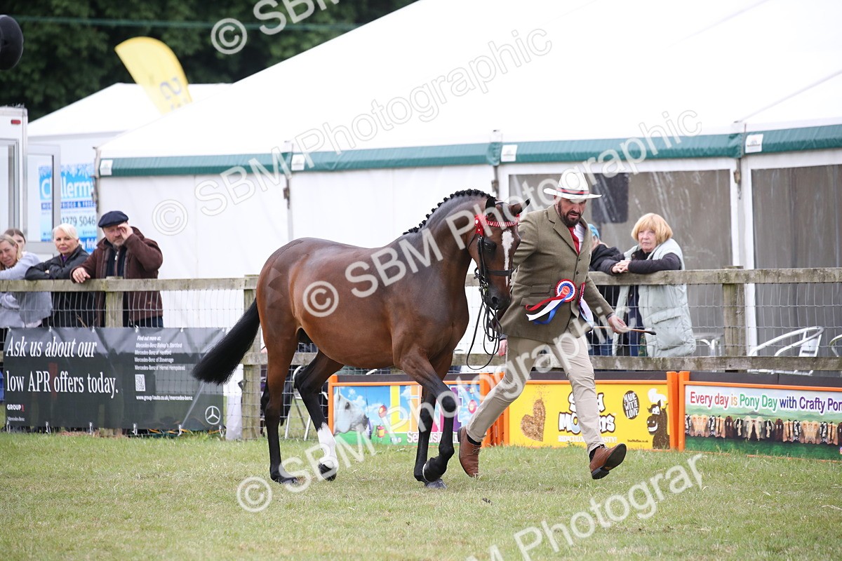 SBM_09779 - Ch 50 - Price Family Supreme In Hand