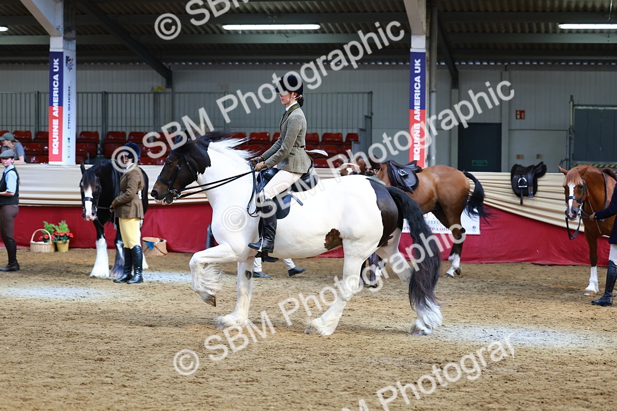 SBM_23499 - class 906 - Supreme Final - Ridden Pre Vet