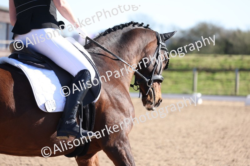 20260318-0754 - Class 7 - Elementary 1