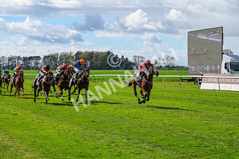 180426-Race 4-Murashah-2393 - Race 4