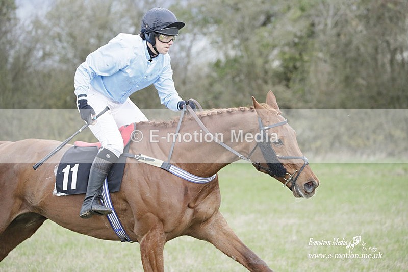 PtP 180323 924 - Shelfield Park Races with Croome & West Warwickshire Hunt  18/03/23