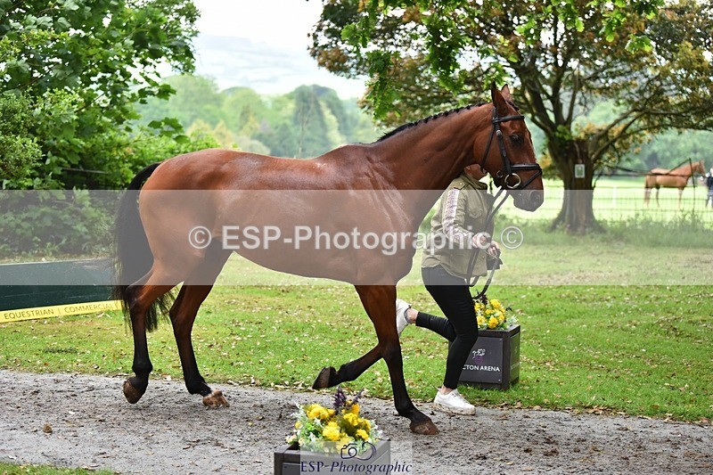 240522-165946-01312 - 232-MAYFAIR_TN-Susie_Berry