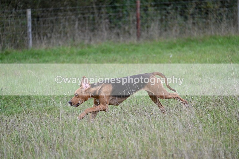 WJ7_3612 - Camera 1 Line 1