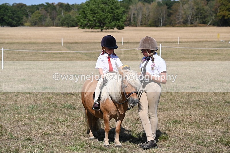 WJ6_9511 - Class 40 Cheekiest Pony/Horse