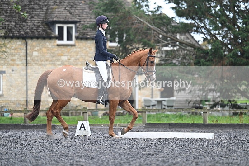 WJ7_6665 - Time 14:49 to 15:14