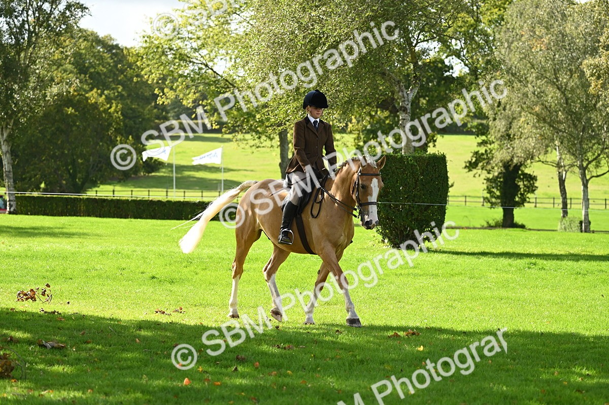 SBM_01540 - S2 - TSR Ridden Horse Showing