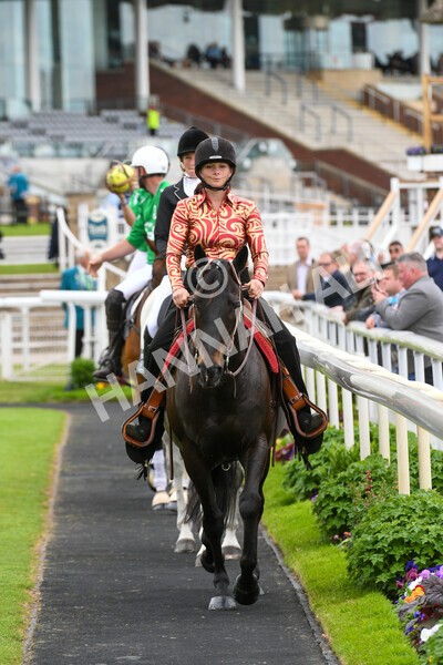 yr22052022r8e-16 - ROR - Parade Ring York