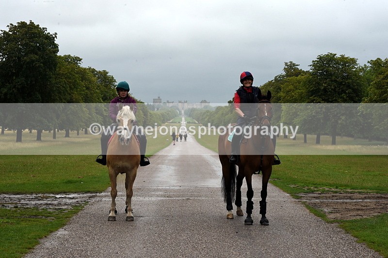 TT3_8223 - Time at Crossing 10:16 to 11:38