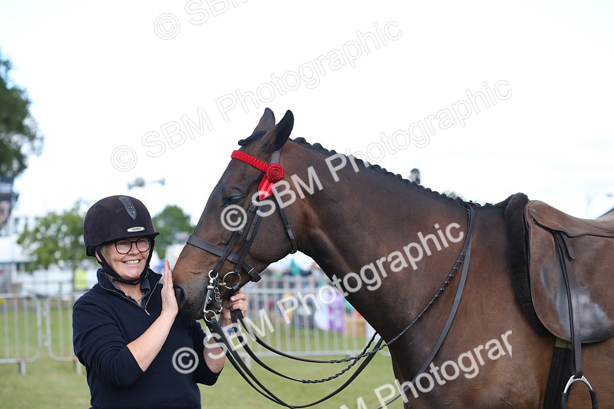 SBM_13265 - Class 95-96 - LIHS BSHA Rising Star Hack Riding Horse