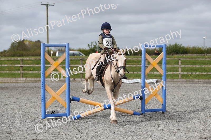 20260412-0145 - Show Jumping