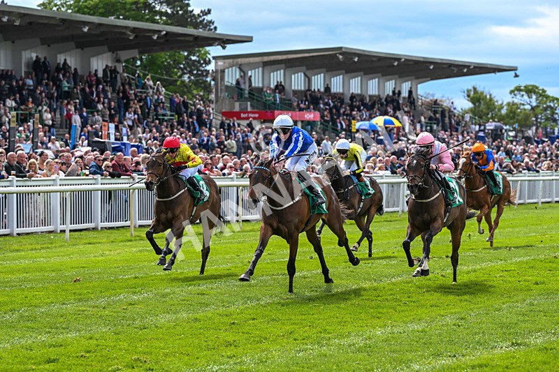 160526-Race 2-Kodi Bear Light-9302 - Race 2 2.23pm Marion Gibson Brown Memorial - Irish EBF Restricted Maiden Fillies' Stakes (Div II)