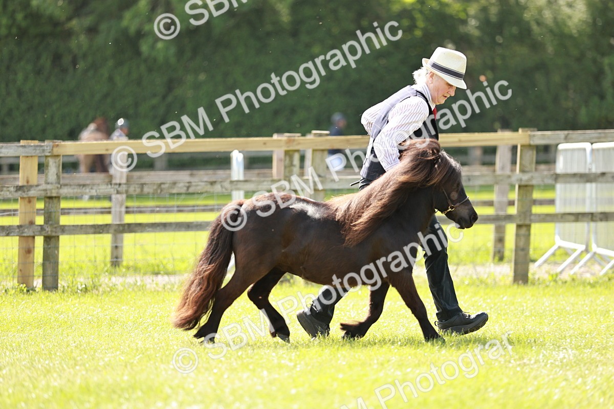 SBM_01880 - Class 14-23 - Mountain & Moorland In Hand Non Welsh
