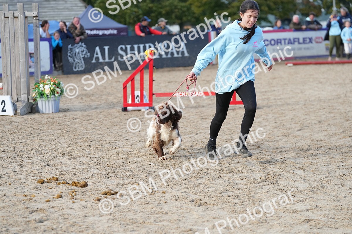 SBM_29163 - J43 - Horse & Hound Open 50cm