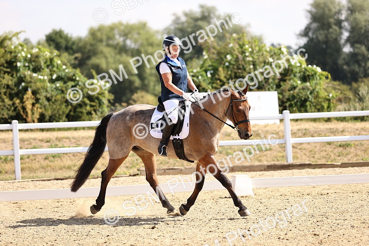 SBM_006517 - Intro 3 - 9.46-10.46