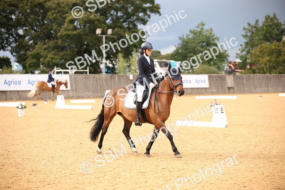 SBM_12258 - D3 Small  Tour Championship Intro A
