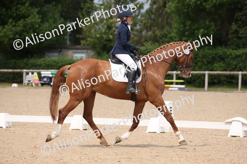 20250604-0600 - Class 3 - Novice 5