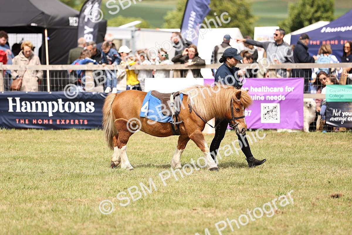 SBM_16394 - Dinky Derby